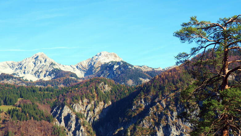 ~945m Aussicht: Schwarzkogel+Kleiner Priel
