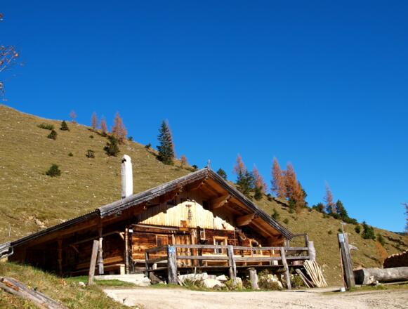 Gütenbergalm ~1550m