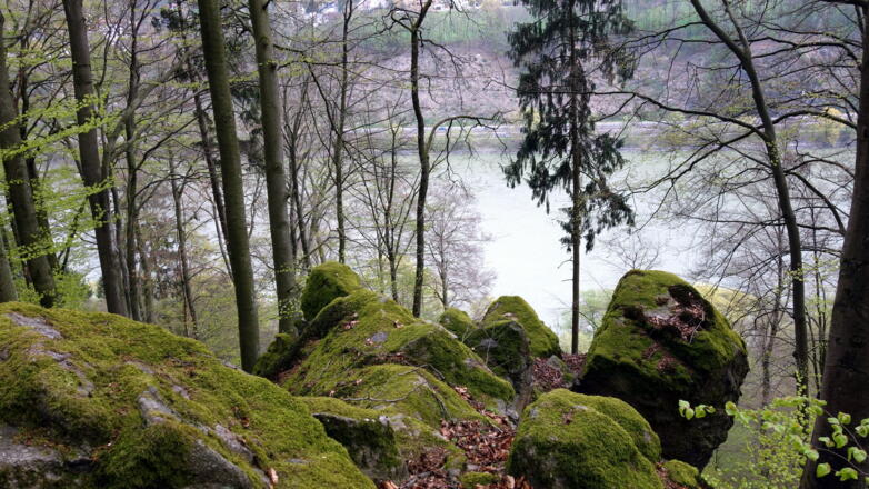 Hochpunkt am Prinzensteig um 345m