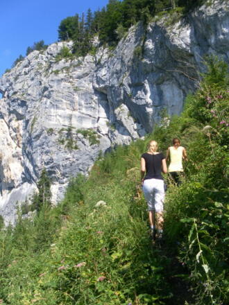 Bergwiese zum Wandfuß