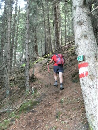 steiler Bergwaldanstieg zum Kasereck
