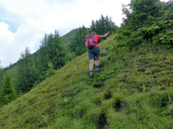 am Gipfelkamm des Kreuzköpfls