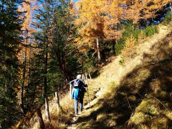 Steilaufstieg von 1280m bis 1515m