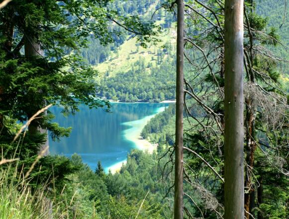 Querung, Tiefblick zum Offensee um 870m