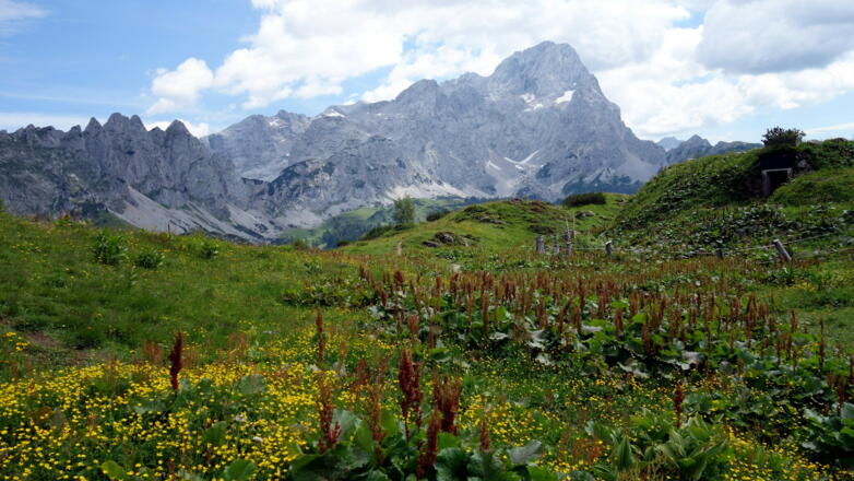 1695m Blick zum Torstein