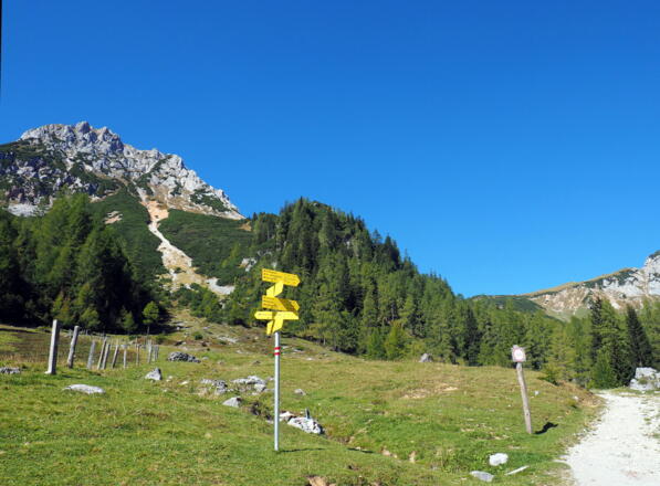 Wegtafel 1460m Forststraßenbeginn bzw. -ende