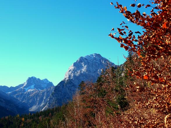 Lamsenspitze und Sonnjoch von ca. 1200m