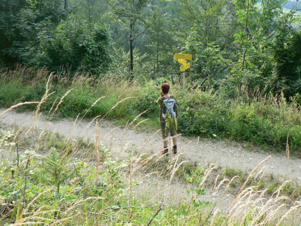 Wir queren die Forststraße und folgen der Markierung zur &quot;Riegler Seff&quot;