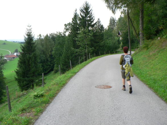 ... und zurück zur Sandner Linde