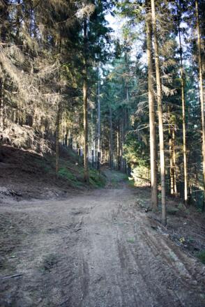 Abstieg ins Thurytal