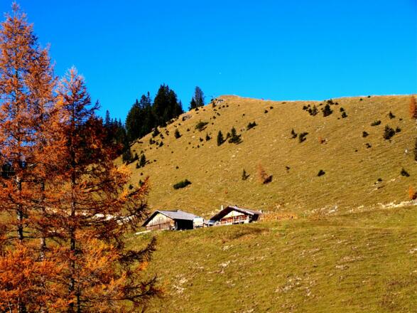 Gütenberg 1665m mit gleichnamiger Alm
