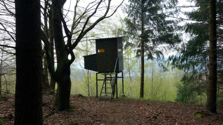 Jagastand ~500m, links zum Weg und zum Kürnberg