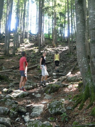 Zustieg zum Predigstuhl