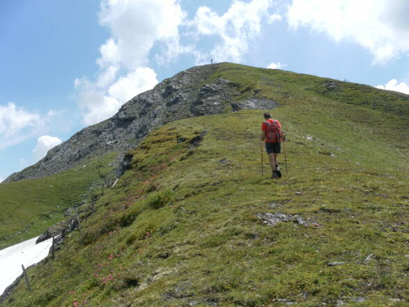 Westrücken des Breitebenkopfes