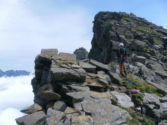 Abstieg Westl. Sattelkopf, dahinter der Mittlere