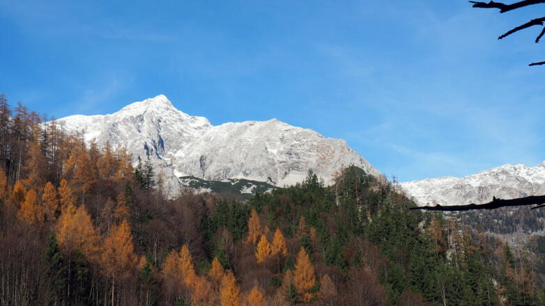 Großer Priel von 945m gesehen