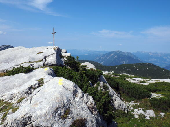 Niederer Rumpler 1979m