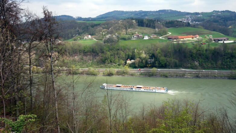 Blick über die Donau ins Mühlviertel (Kahlschlagbereich)