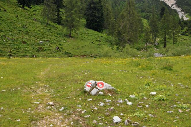 Der Weg ist nicht zu verfehlen- hohe Wegweiser- Dichte und auch am Boden Markierungen- einfach vorbildlich
