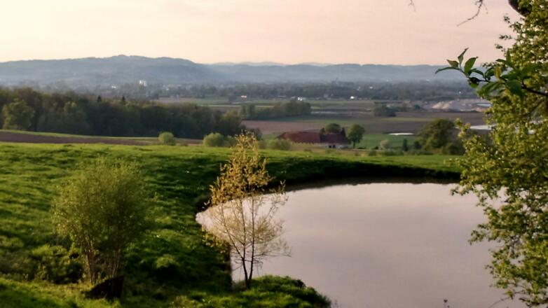 Teich nach dem Erdpresserhof um