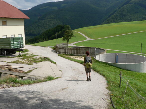 Beim Gehöft &quot;Gassen&quot; in Schweinsegg rechts haltend ein kleines Stück bergab...