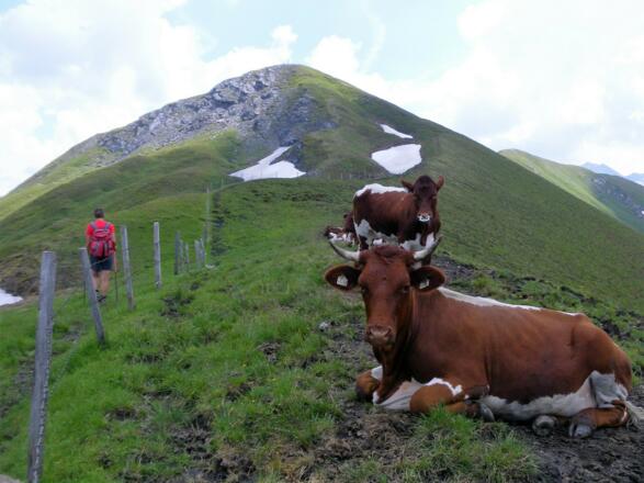 Senke vor dem Breitebenkopf