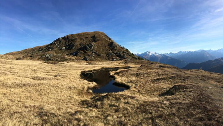 Landschaftliche Schönheit, nah und fern