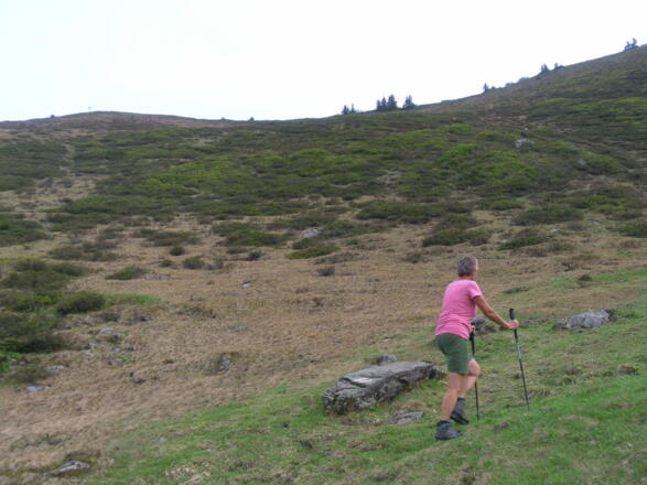 Mulde zum Gerenfalben