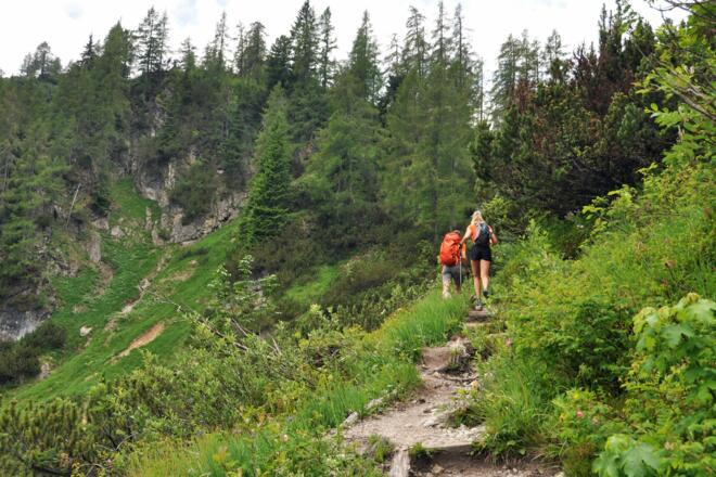 Nach der Almwiese folgen sehr lange &quot;Latschengassen&quot; 