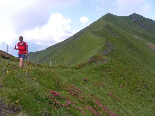 welliger Kamm vom Kühkarlkopf