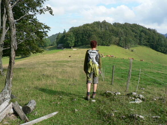 Über den Rücken gegen Süden...