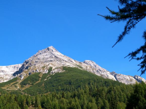 Letzter Rückblick zum Hochfeindgipfel