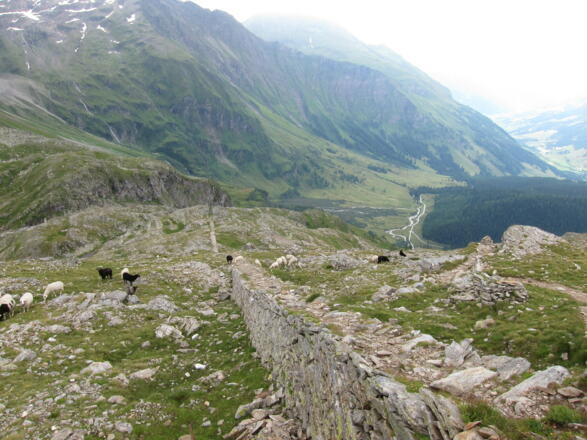 Talschluss des Hüttwinkltals (historischer Bergbau) (23.07.2017)