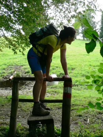 Wir durchqueren eine Weide ...