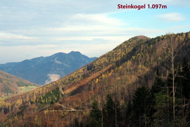 Steinkogel Hauptgipfel und Kamm rechts
