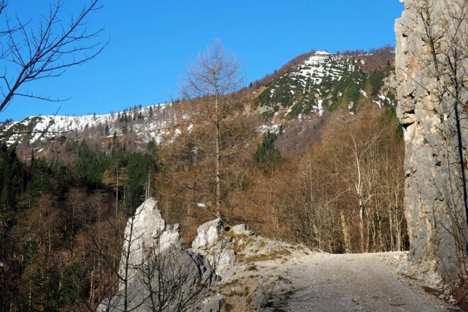 920m Bank und Marterl an der Forststraße