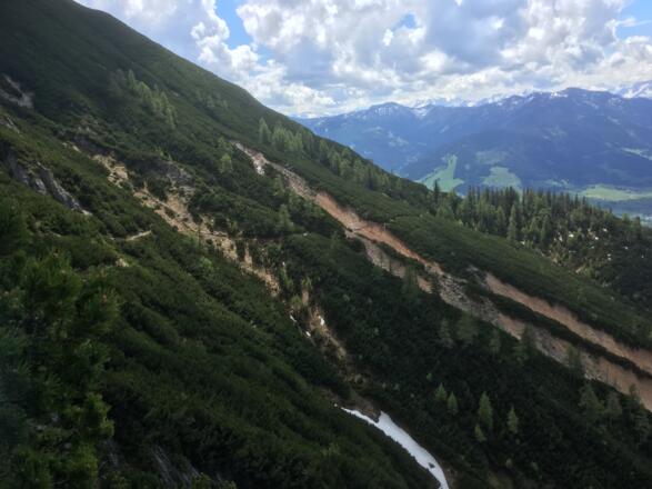 der Weg durch die Latschen