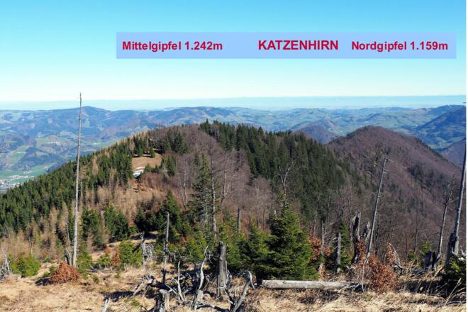 Katzenhirn Mittel- und Ostgipfel 1.159m