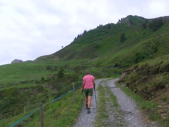 Weg zur Altgerachalpe