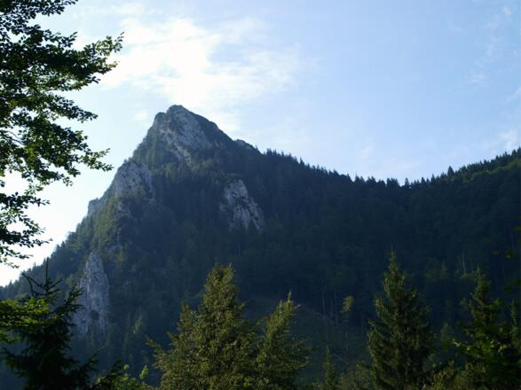 Schöner Blick zum Gipfel bei 890m