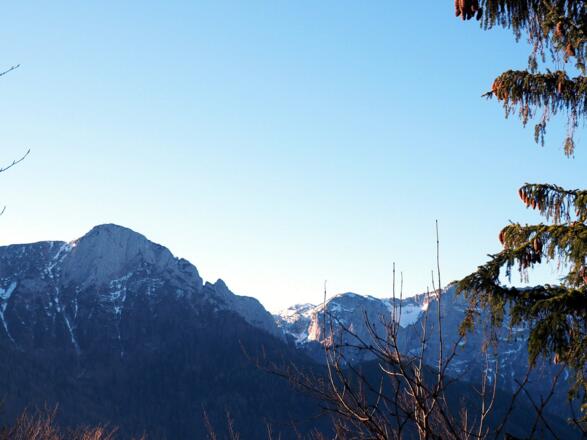 Falmbachgupf 1006m mit Blick ins Höllengebirge