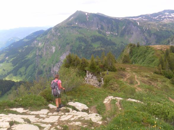 Sünser Spitze vom Bergrücken