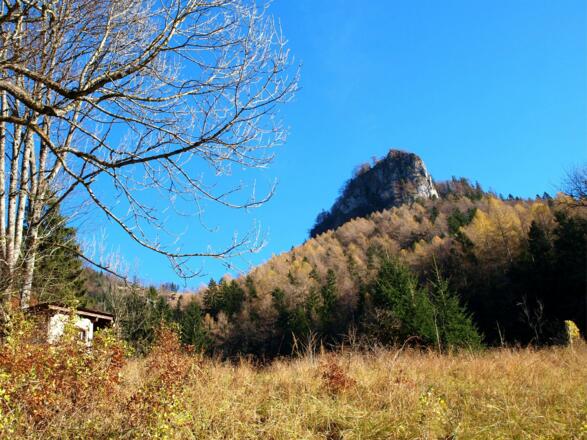 Rückblick von der Forststraße um 840m