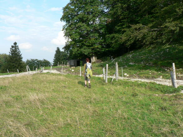 ... am Ende der Weide führt die Markierung nach links