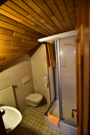 Badezimmer mit Dusche und WC - Beispielbild