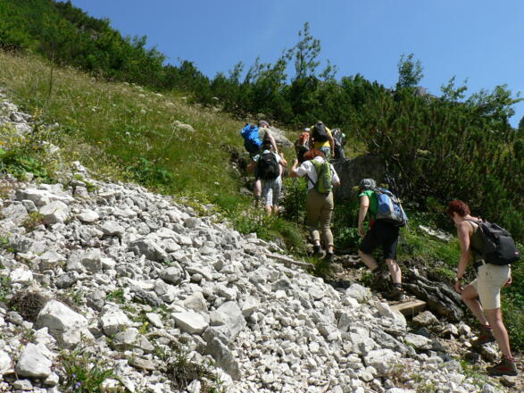 Gleichmäßig ansteigend zwischen Latschen