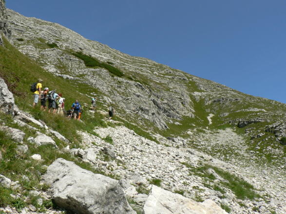 Nach der Latschenzone gelangen wir in einem weiten Rechtsbogen zum Sattel