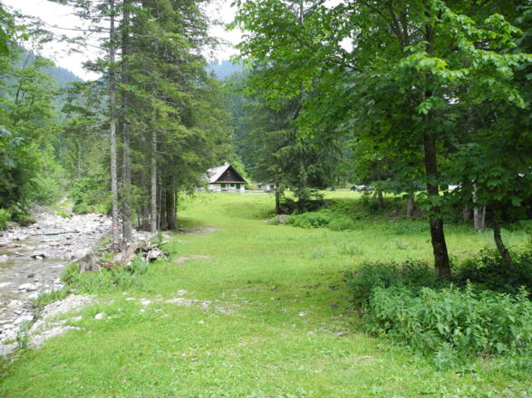 Beim Wegweiser bei der Brücke geht es nach links dem Wald entgegen.
