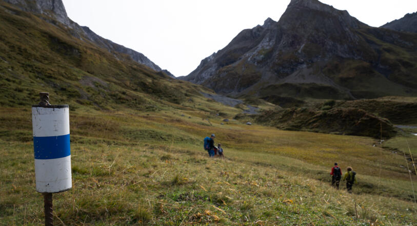  Ab jetzt (5) ist das Gelände weglos, es gibt nur noch weiß-blau-weiße Markierungen. 
