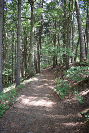 Der letzte Teil des Fitweges ist etwas unwegsamer